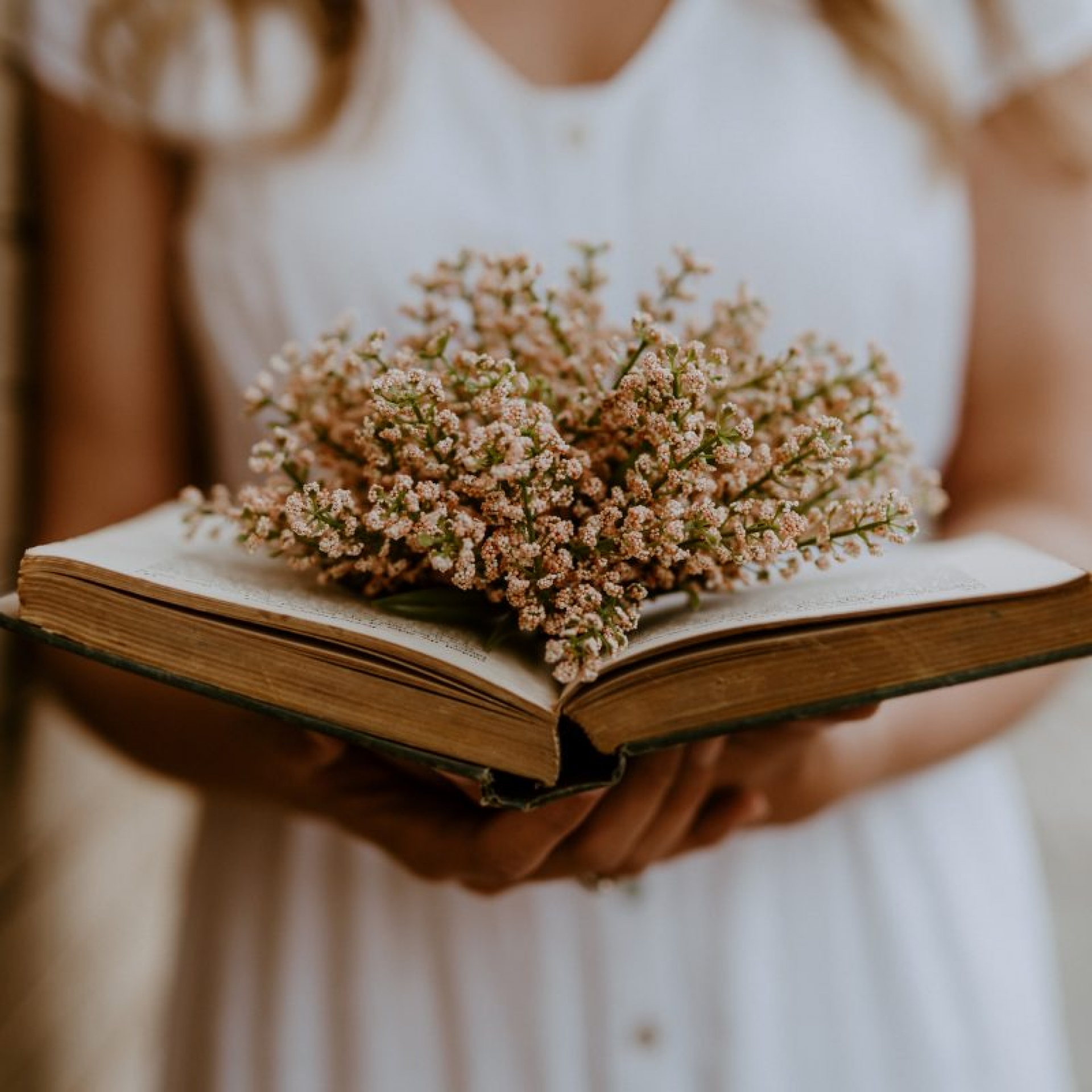 A Water Lily Among the Wildflowers - The Book
